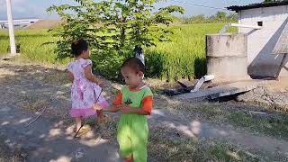 Let's play in the water in the rice fields